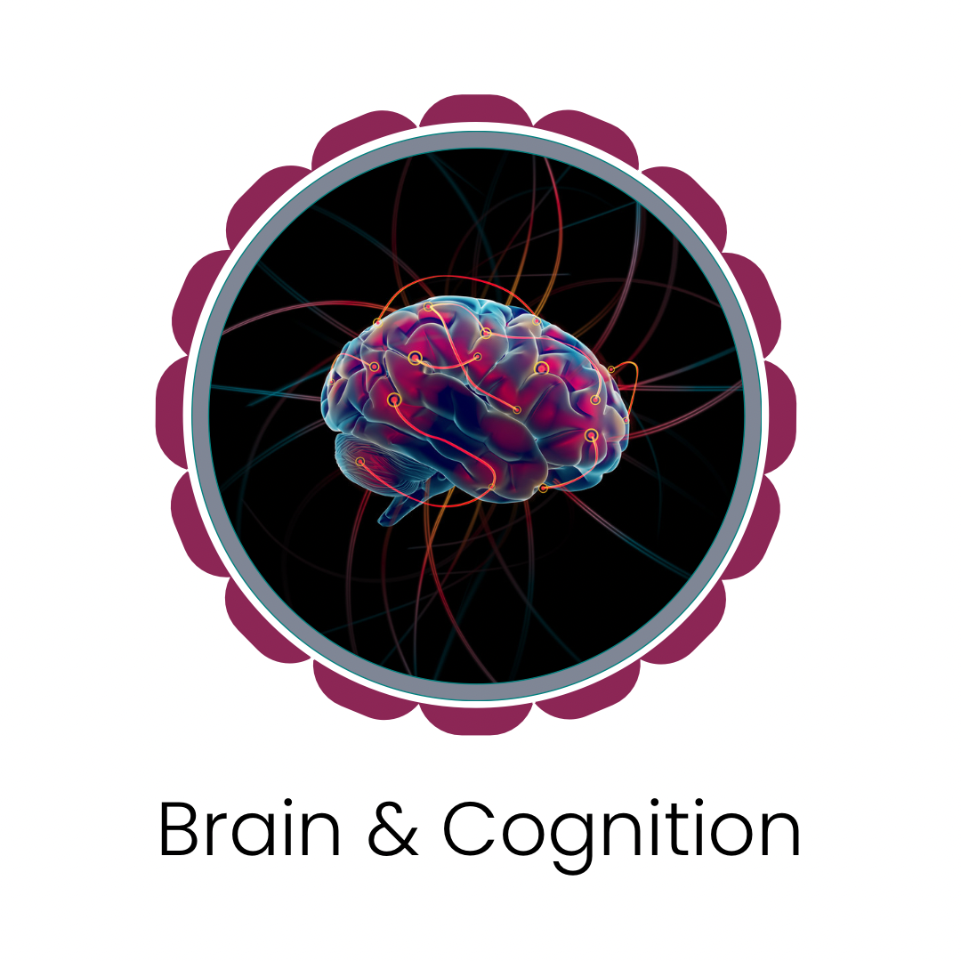 Brain & Cognitive