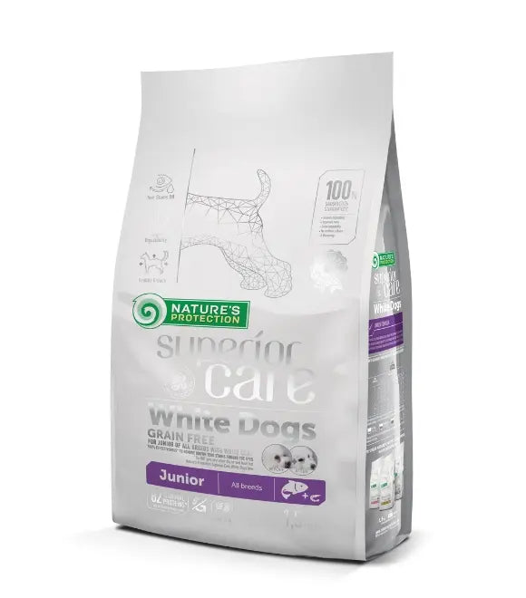 حماية الطبيعة - عناية فائقة - كلاب بيضاء صغيرة الحجم ذات فراء أبيض، وزن 1.5 كجم