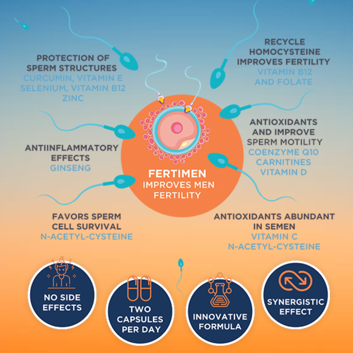 APEXAM Fertimen, 60 Capsules – product photo
