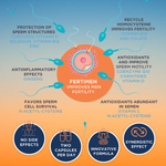 APEXAM Fertimen, 60 Capsules – product photo