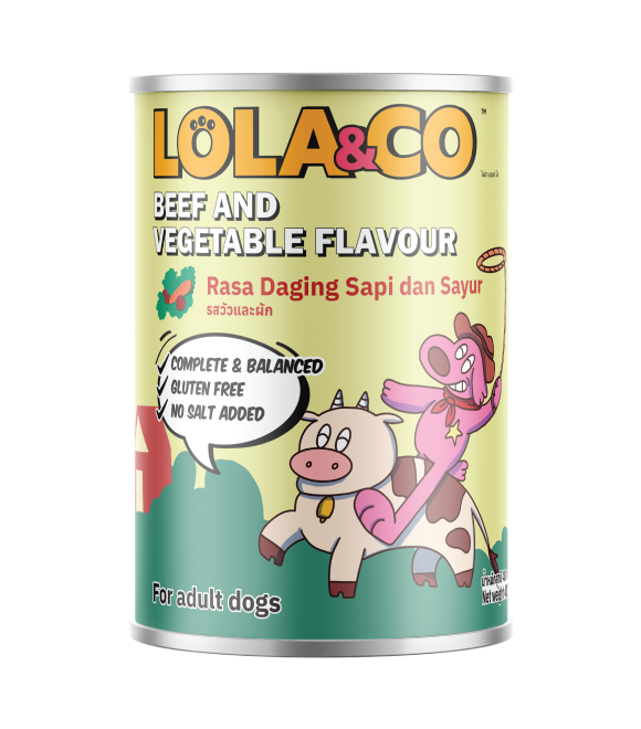 Lola & Co Beef with Vegetable Flavour Wet Dog Food 400g | Beef with Vegetable Flavour