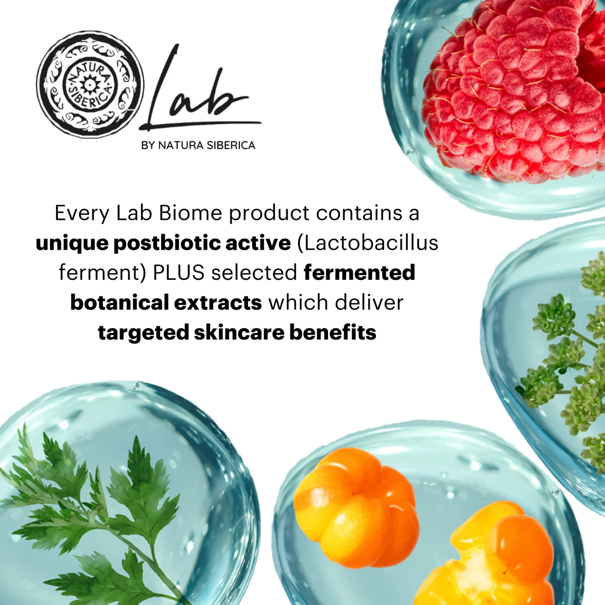 Natura Siberica Lab Biome Phyto Retinol Eye Cream 30ml | Less Puffy, Brighter-Looking Eyes – product photo