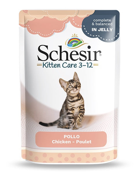 Schesir Kitten Chicken in Jelly Wet Cat Food 85g | Complete Chicken Meal for Kittens