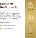 Solgar Gentle Iron, 90 Vegetable Capsules | Chelated Iron in Vegetable Capsules – product photo