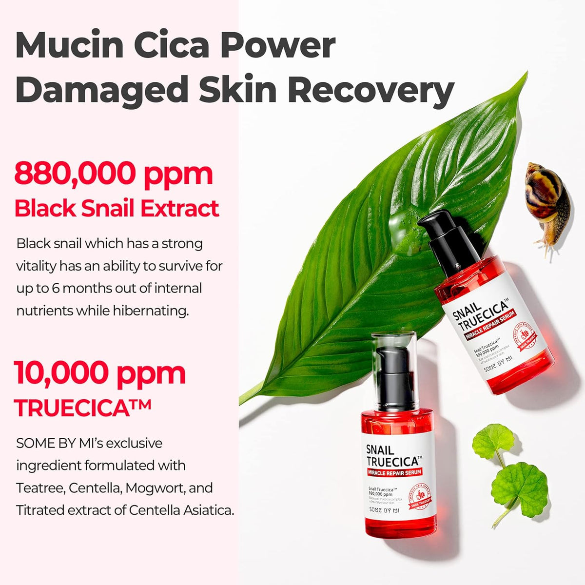 SOME BY MI Snail Truecica Miracle Repair Serum 50ml | Calming Skin Barrier Care – product photo